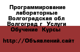 Программирование, лабораторные - Волгоградская обл., Волгоград г. Услуги » Обучение. Курсы   